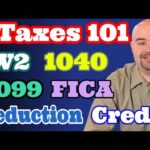 Taxes 101 – Basic Things You Should Know