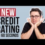 What is the FICO Resilience Index?