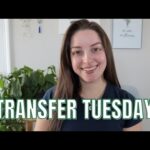 Transfer Tuesday | How I Donate and Invest + Being Real with Y'all
