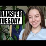 Transfer Tuesday | 401(k) contributions are BACK!