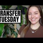 Transfer Tuesday | Venting About Health Insurance + Tiny Transfer