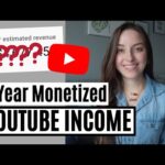 Transfer Tuesday | Adjusting 401(k) Portfolio + Roth IRA Progress