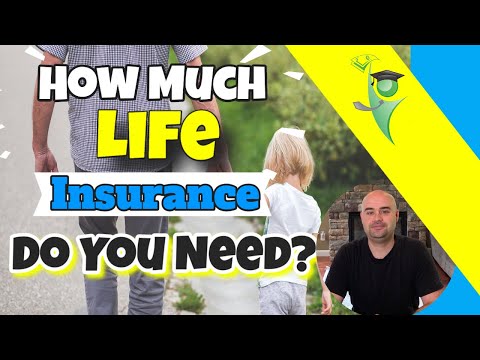 How Much Life Insurance Do I need?